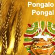 Colours of ponga