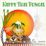 Pongal Wishes