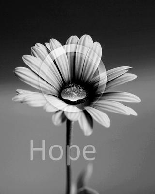 hope
