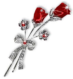 Red rose