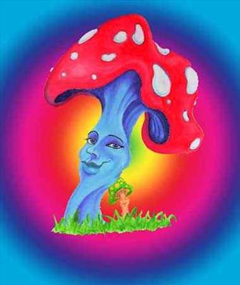 lady mushroom