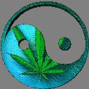 cannabis