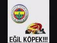 geri gs