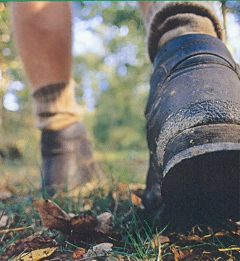 Hiking Shoes