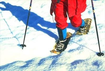 Snowshoes