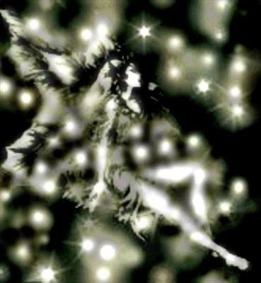 White Fairy