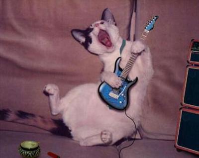 Gutair Kitty