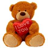 I Love You Bear