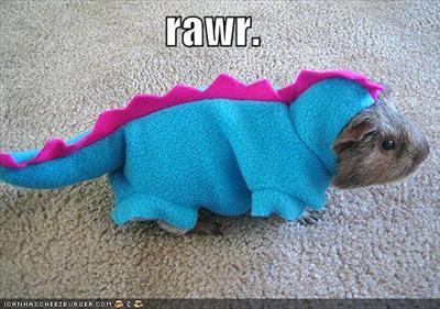 rawr.
