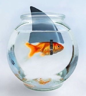 fishy