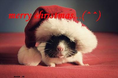 blalala