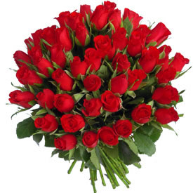 100 red roses