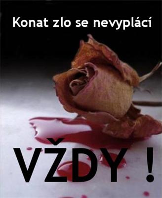 ♥- no