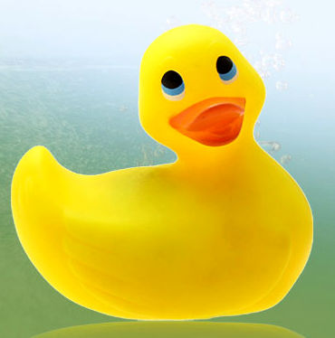 Pato con Vibrador