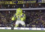 fenerbahçe