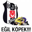 egik köpek