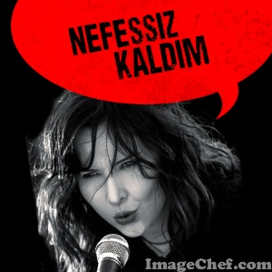 Şeboist