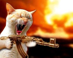 Armed Cat