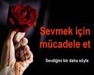 MaLeseF AşkınDan Caymışsın =)