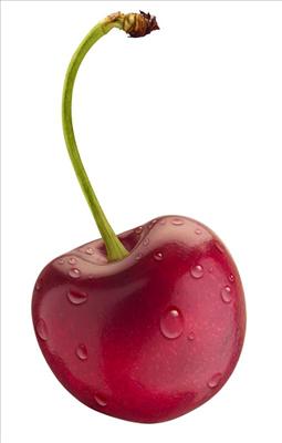 Cherry Tree