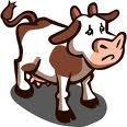 Cow