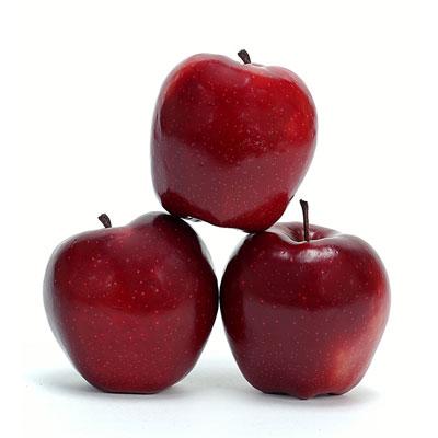 Apple Tree