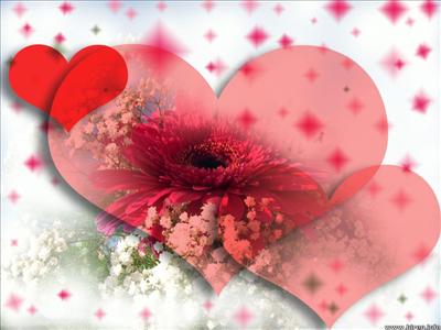 hearts