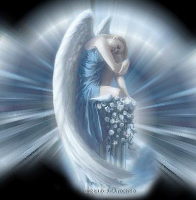 angeli