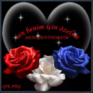 bu gün cok şanslısın