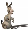 burro