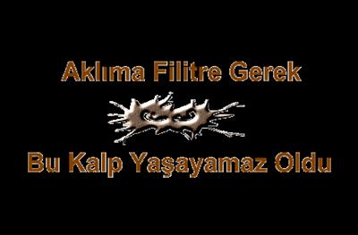 sevmiyor