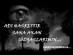 HASRET 11
