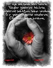 HASRET 15