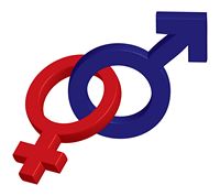 Hetero 