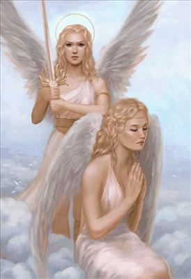 angel 7