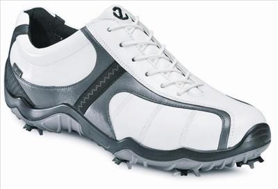Shoe