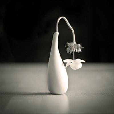 per nnt attrattivo/a. lo/a  fai diventare come un fiore senza acqua