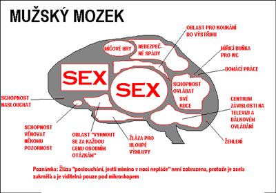Přemýšlíš jako chlap xD