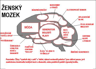 Přemýšlíš jako ženská xD