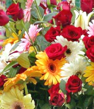 FLOWER!