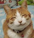 smile with love