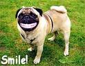 Aways Smile