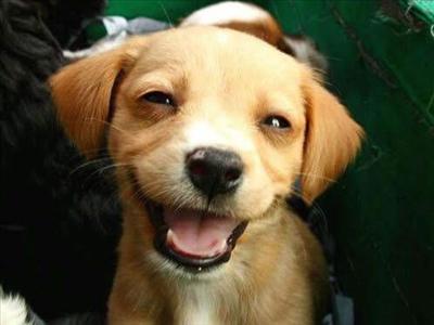 HA HA HA! say cheese