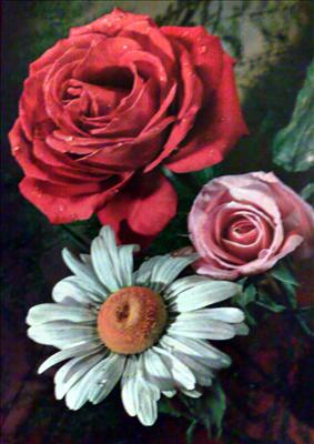 Con affetto...With Love