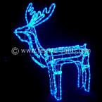 Blue reindeer
