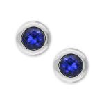 Blue earrings