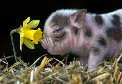 Spring is coming :)