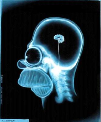  jackass 