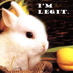 HAPPY EASTER!