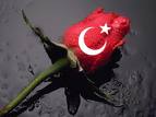 vatanımız gidiyor